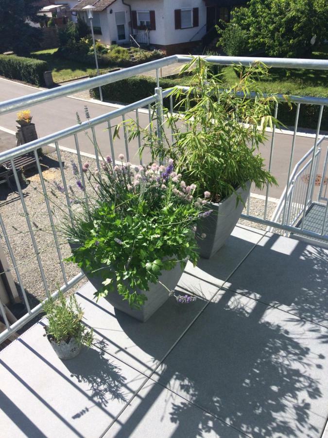Ferienwohnung Walk 塞勒姆 外观 照片